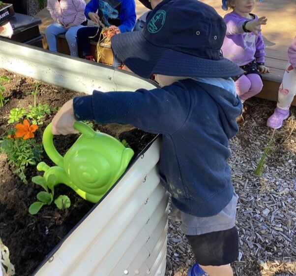 A toddler in a bucket hat waters plants in the garden while other children watch